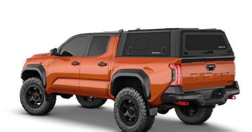 530325674 122107756448961401 7367734084508781366 n